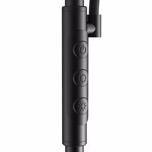 Dviguba grindų lempa su pultu BlitzWill BWL-FL-0001, 36W (juoda)