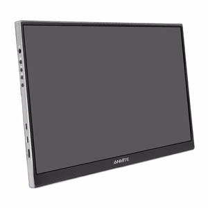 ANMITE A160W04 16" Portable Monitor
