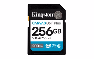 Kingston Technology Canvas Go! Plus 256 GB SDXC UHS-I Klasės 10