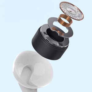 Dudao X3 Wired USB-C In-Ear Ausinės - baltas