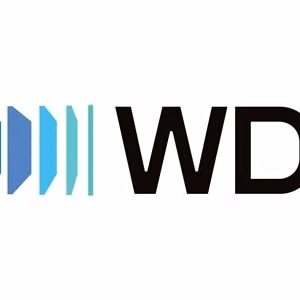 WD Elements Portable USB-C 1TB išorinis kietasis diskas, juodas