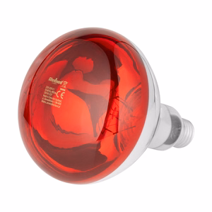 Rebel R125 infraraudonųjų spindulių lempa, 100 W, 220–240 V