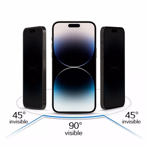 Apsauginis stiklas (m) su privatumo filtru REALME C53 - juodas (m)