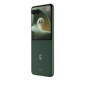 Смартфон Motorola RAZR 70 Plus, 12/512GB, Mountain View