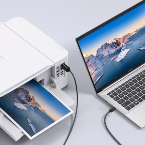 Wozinsky WKDDY1S Кабель USB-B - USB-C 1m - чёрный