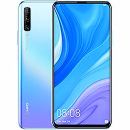 P Smart Pro 2019