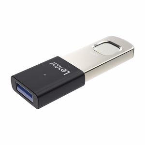 Lexar Fingerprint F35pro USB 3.2 128GB atmintinė