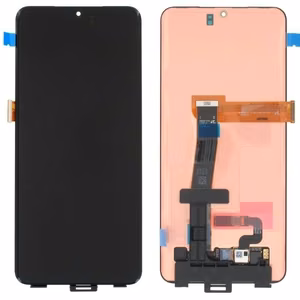 LCD ekranas Samsung G988 S20 Ultra su jutikliniu ekranu (BE RĖMO) originalus (service pack)