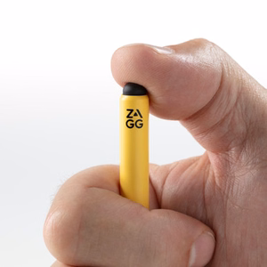 ZAGG Pro Stylus2 for Apple iPad - Gray