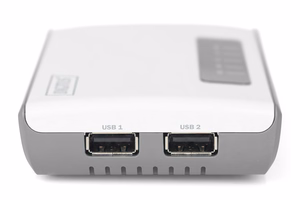 Digitus DN-13024 belaidis daugiafunkcis tinklo serveris su 2 USB 2.0 prievadais, 300 Mb/s