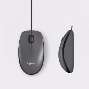 Logitech M100 pelė