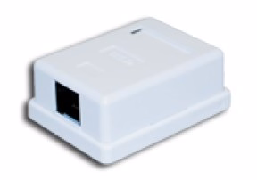 A-LAN GN005 tinklo jungiamoji dėžutė Cat5e Balta