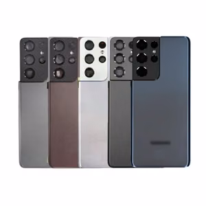 Задняя крышка для Samsung G998 S21 Ultra фантомный серебристый (с линзой камеры) OEM