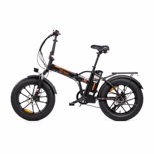 E-BIKE YOUIN TEXAS BLACK FAT 20"