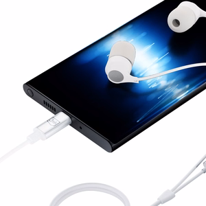 Ausinės 3mk Wired Earphones USB-C baltos