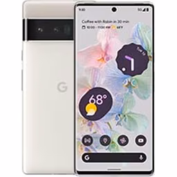 Pixel 6 Pro