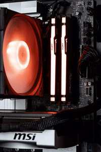 Actina 5901443421672 PC AMD Ryzen™ 7 7700 32 GB DDR5-SDRAM 1 TB SSD NVIDIA GeForce RTX 5060 Ti Midi Tower juodas