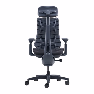 LiberNovo Omni 45 cm Ergonomic Chair (Black)