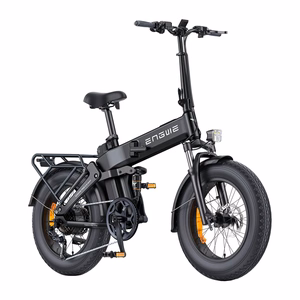 ENGWE PRO 3.0 BOOST 250W 20" Electric Bike (Black)