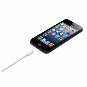 Apple Lightning į USB laidas (0.5 m)