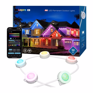 Lepro E1-60 pastogės šviestuvas