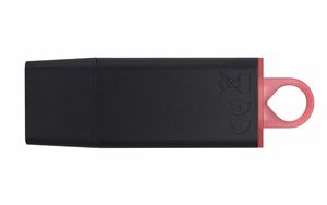 Kingston Technology DataTraveler Exodia USB atmintukas 256 GB USB A tipo 3.2 Gen 1 (3.1 Gen 1) Juoda, Rožinė