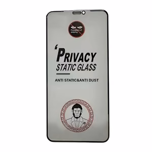 LCD apsauginis stikliukas ESD Anti-Static Privacy Samsung S918 S23 Ultra 5G