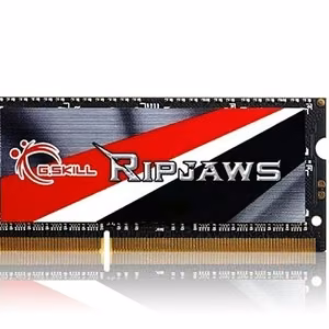 G.Skill 8GB DDR3-1600 atminties modulis 1 x 8 GB 1600 MHz