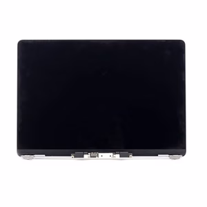 LCD Assembly for Apple A2179 2020 (Silver)