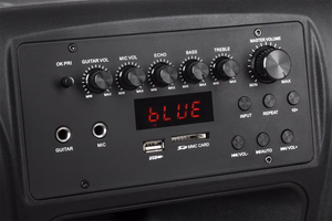 Активная акустическая колонка с 2 беспроводными микрофонами, SD, Bluetooth, USB, 12 дюймов, 40 Вт