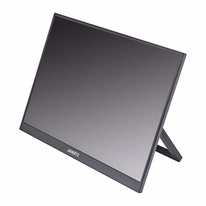 ANMITE A160W24H 16" Portable Monitor