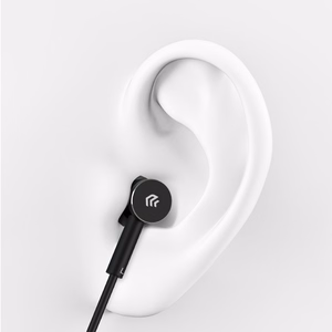 Devia laidinės ausinės Smart M1 Digital Metal USB-C juodos