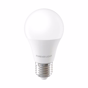 Forever Light LED lemputė E27 A55 4W 480lm 6000K, E klasė