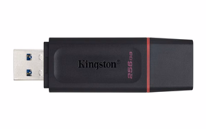 Kingston Technology DataTraveler Exodia USB atmintukas 256 GB USB A tipo 3.2 Gen 1 (3.1 Gen 1) Juoda, Rožinė