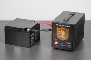 KEMOT PROsinus-800 rezervinis maitinimo šaltinis, grynos sinusoidės keitiklis su įkrovimo funkcija, 12 V/230 V, 800 VA/500 W, juodas