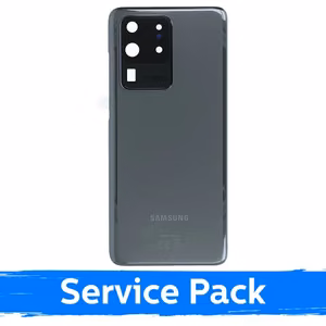 Galinis dangtelis skirtas Samsung G988 S20 Ultra / Cosmic pilkas / (Service Pack)