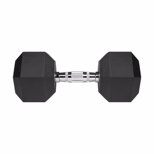 REBEL ACTIVE Rubber-coated cast iron dumbbell 20kg