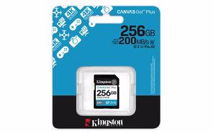 Kingston Technology Canvas Go! Plus 256 GB SDXC UHS-I Klasės 10