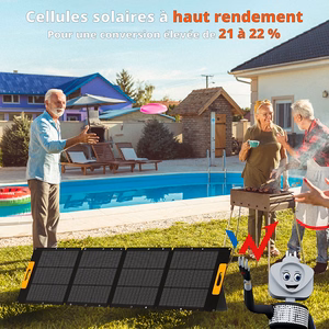 Wonder WS210 saulės modulis, 210 W, MC4 išvestis, juodas