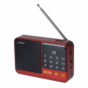 Setty mini FM radio + Bluetooth garsiakalbis SFM-01M