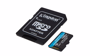 Kingston Technology Canvas Go! Plus 128 GB MicroSD UHS-I Klasės 10