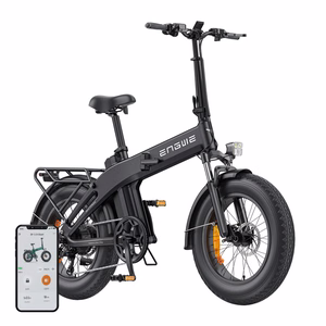 ENGWE EP-2 3.0 BOOST 250W 20" Electric Bike (Black)