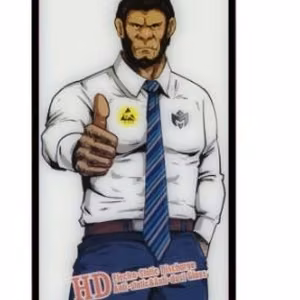 Grūdintas stiklas ESD Anti-Static Dust Proof Xiaomi Mi 11 Lite 4G/Mi 11 Lite 5G/Xiaomi 11 Lite 5G NE juodas