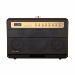 BELAIDIS GARSIAKALBIS W-KING K6L 120W RUDOS SPALVOS