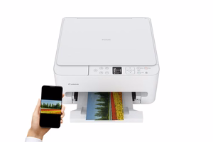 Canon PIXMA TS6550i rašalinis A4 1200 x 1200 DPI Wi-Fi