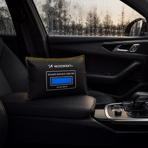 Wozinsky automobilio drėgmės ir kvapų sugėriklis 500g - juodas