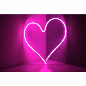 Neon LED ant USB - ŠIRDIES modelis