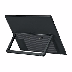 ANMITE A160W24H 16" Portable Monitor
