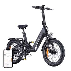 ENGWE L20 3.0 BOOST 250W 20" Electric Bike (Black)