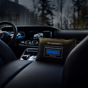 Wozinsky automobilio drėgmės ir kvapų sugėriklis 500g - juodas
